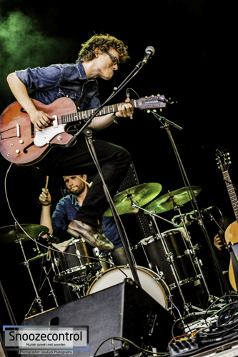 M-IDZOMER 2015 - Douglas Firs